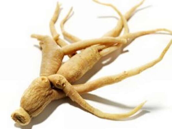 Ρίζα ginseng